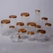 Honey 750ml Clear Round Plastic Jar Dengan Tutup Sekrup Emas